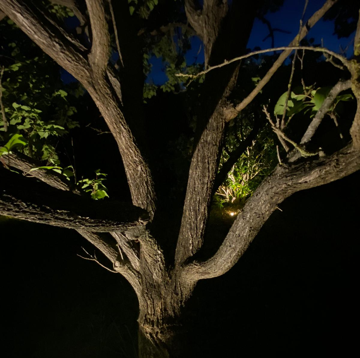 Spot encastré